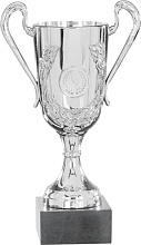 Купить кубки