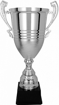 Купить Кубок 2070A               