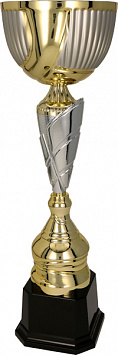 Купить Кубок 3125C               