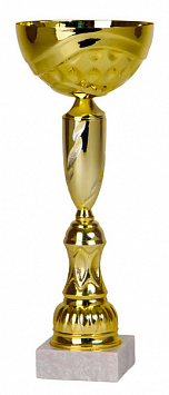 Купить Кубок 9621