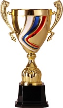 Купить кубок 2004