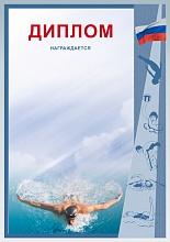 Купить Диплом Д-4