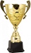 Купить Кубок 2010
