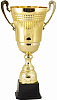 Кубок 2009