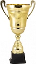 Купить Кубок 2009