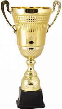 Купить Кубок 2009
