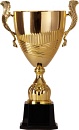Купить Кубок 2005