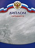 Диплом Д-6