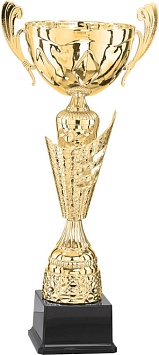 Купить Кубок 4013