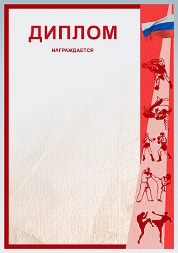 Купить Диплом Д-9