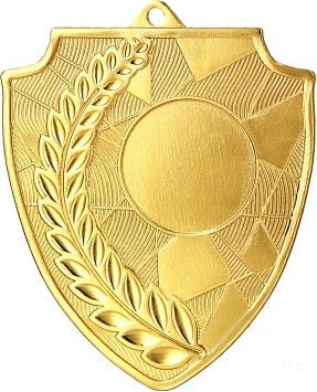 Купить Медаль MMC7060-SHIELD