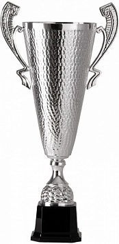 Купить Кубок 2003