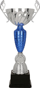 Купить Кубок 3142