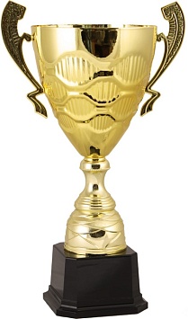 Купить Кубок 2010