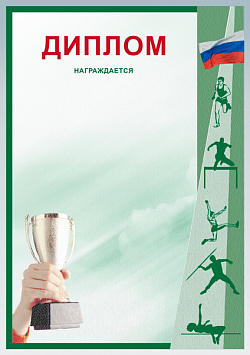 Купить Диплом Д-15
