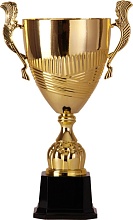Купить кубок 2005