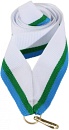 Купить Лента W/GN/LBL