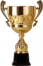 Купить Кубок 2007