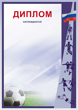Купить Диплом Д-8